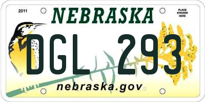NE license plate DGL293