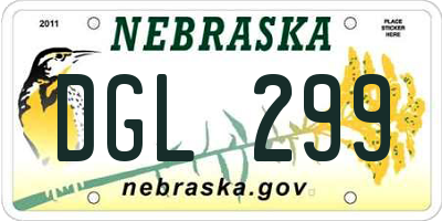 NE license plate DGL299