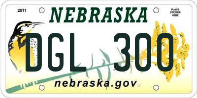 NE license plate DGL300