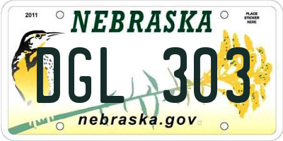 NE license plate DGL303