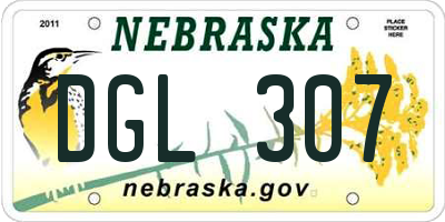 NE license plate DGL307