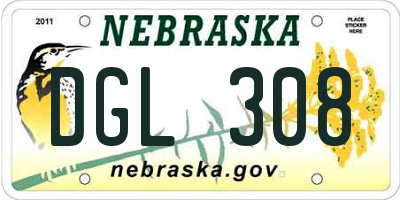 NE license plate DGL308