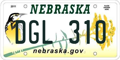 NE license plate DGL310
