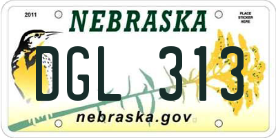 NE license plate DGL313