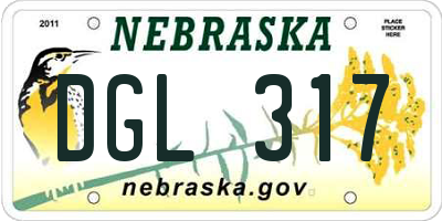 NE license plate DGL317