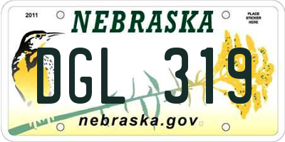 NE license plate DGL319
