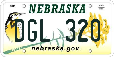 NE license plate DGL320