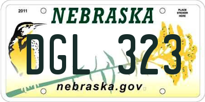 NE license plate DGL323