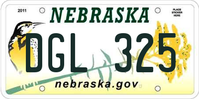 NE license plate DGL325