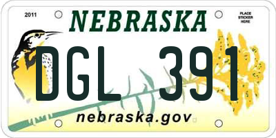 NE license plate DGL391