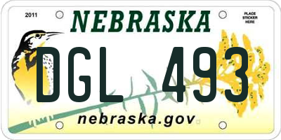 NE license plate DGL493