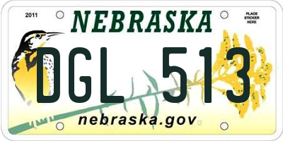 NE license plate DGL513
