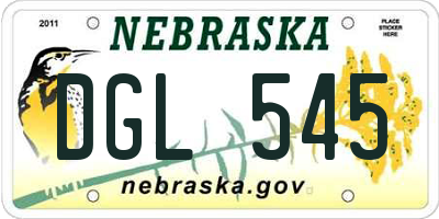 NE license plate DGL545