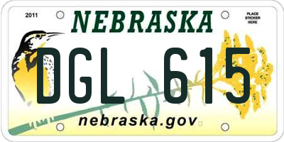 NE license plate DGL615