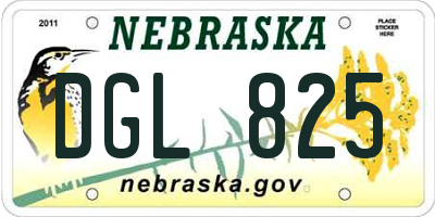 NE license plate DGL825