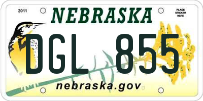 NE license plate DGL855