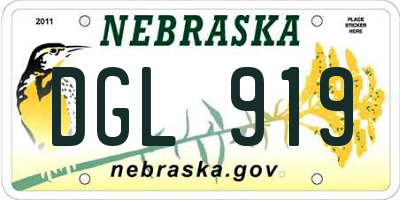 NE license plate DGL919