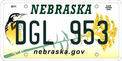 NE license plate DGL953