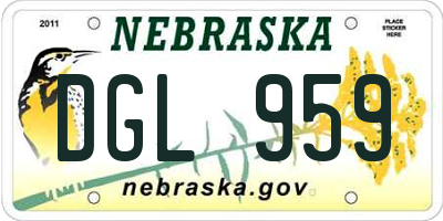 NE license plate DGL959