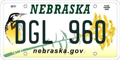 NE license plate DGL960