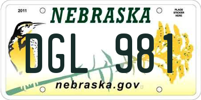 NE license plate DGL981