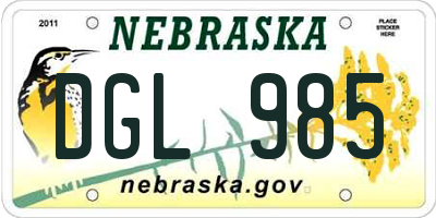 NE license plate DGL985