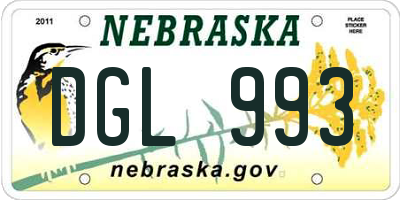 NE license plate DGL993