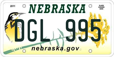 NE license plate DGL995