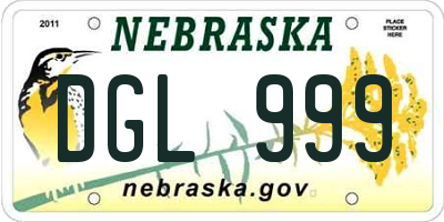 NE license plate DGL999