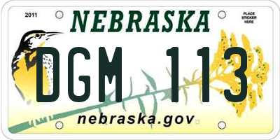 NE license plate DGM113