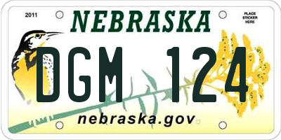 NE license plate DGM124