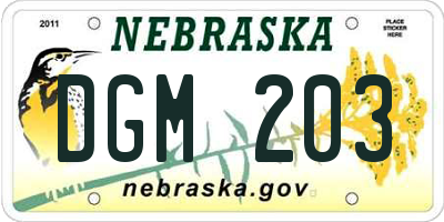 NE license plate DGM203