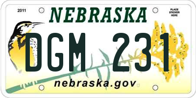 NE license plate DGM231