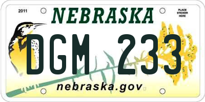 NE license plate DGM233