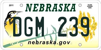 NE license plate DGM239