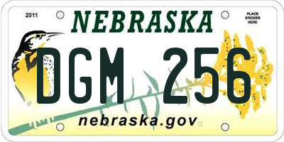 NE license plate DGM256