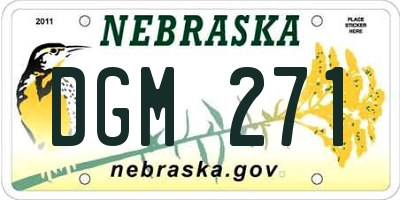 NE license plate DGM271