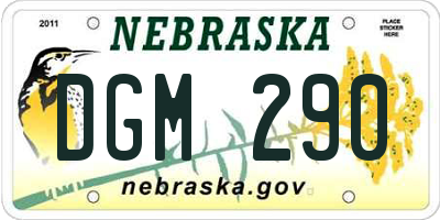 NE license plate DGM290