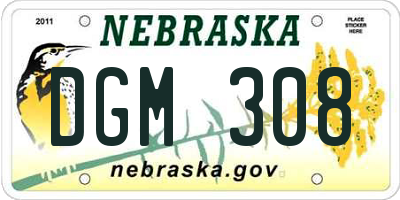 NE license plate DGM308