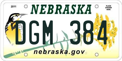 NE license plate DGM384