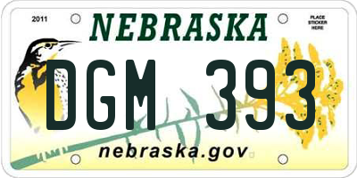 NE license plate DGM393
