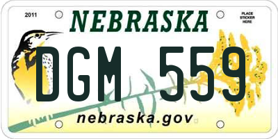 NE license plate DGM559