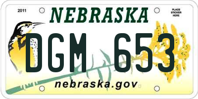 NE license plate DGM653