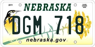 NE license plate DGM718