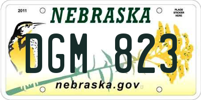 NE license plate DGM823