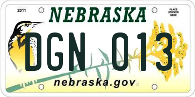 NE license plate DGN013