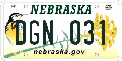 NE license plate DGN031