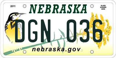 NE license plate DGN036
