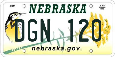 NE license plate DGN120