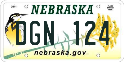 NE license plate DGN124
